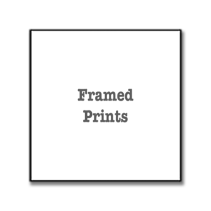 Framed Prints